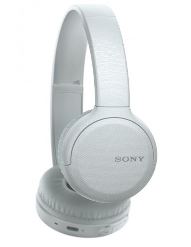 Sony WH-CH510 Auricolare Wireless A Padiglione Musica e Chiamate US