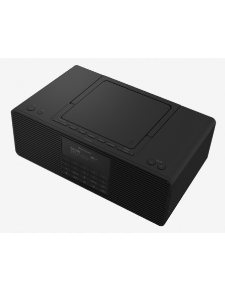 LETTORI MP3: vendita online Panasonic RX-D70BT Portatile Analogico e digitale Nero in offerta