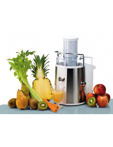 CENTRIFUGHE: vendita online ARIETE 173 CENTRIFUGA CENTRIKA METAL in offerta