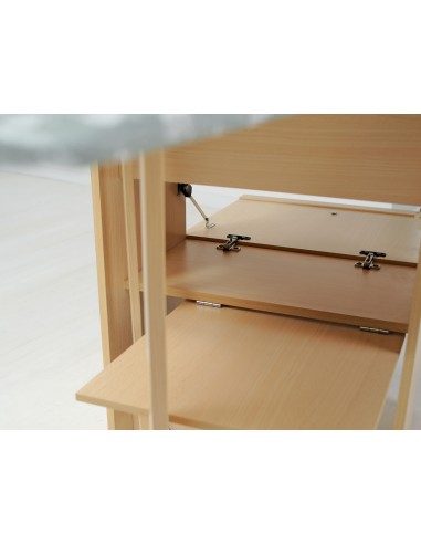 ASSI DA STIRO: vendita online FOPPAPEDRETTI 9900330103 LO STIRO NATURALE in offerta