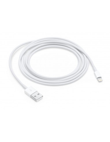 CARICABATTERIE IPHONE: vendita online Apple Cavo da Lightning a USB (2 m) in offerta