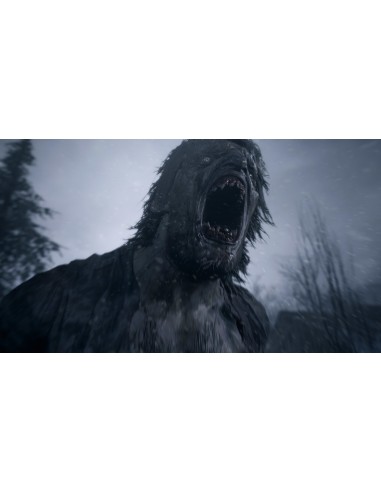 GAMES PS5: vendita online Koch Media Resident Evil Village Basic Inglese, ITA PlayStation 5 in offerta