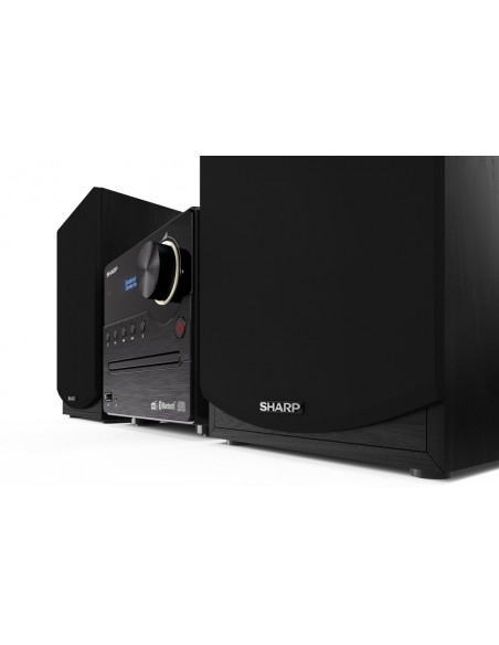 MINI E MICRO HI-FI: vendita online Sharp XL-B517D Microsistema audio per la casa 45 W Nero in offerta