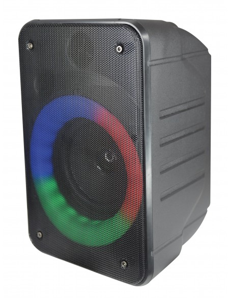 DIFFUSORI AMPLIFICATI: vendita online Karma Italiana Infinity 2-vie in offerta