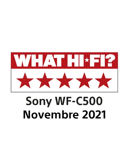 AURICOLARI BLUETOOTH: vendita online Sony Auricolari WF-C500 True Wireless - Fino a 20 ore di durata della batteria con custo...