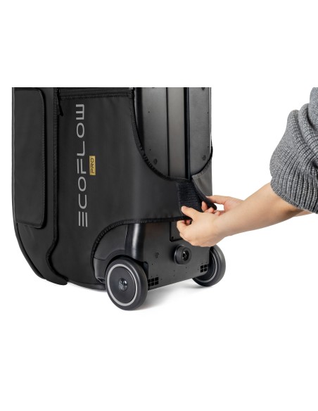 GENERATORI ELETTRICI: vendita online EcoFlow Borsa per DELTA Pro - Nero in offerta