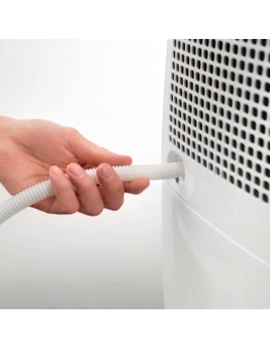 De’Longhi Tasciugo AriaDry DEX210SF 2,1 L 36 dB 250 W Bianco