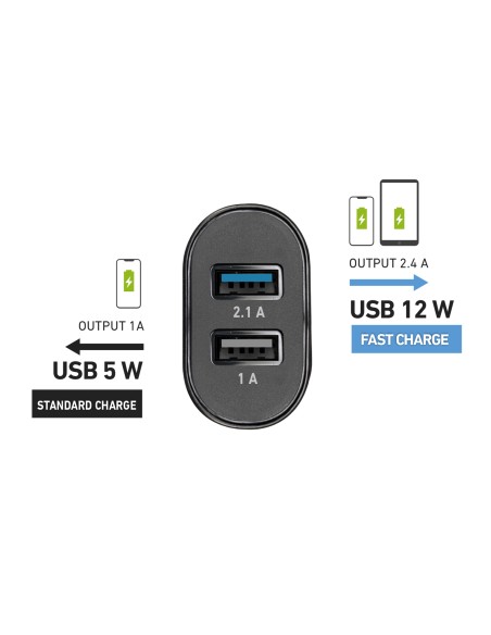 SBS TECR2USB24AFAST CARICAB.AUTO   2USB/2,4A