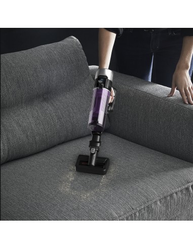 ROWENTA RH2037WO X-FORCE FLEX 9.60 SCOPA RICARICABILE