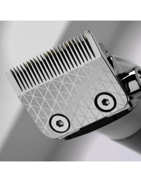 BABYLISS E991E REGOLACAPELLI LAME  IN TITANIO AUTONOMIA 3H.