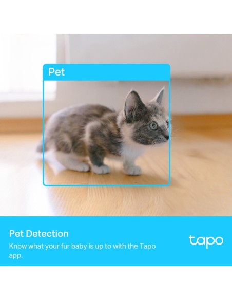 TPLINK TAPO C225 IP CAM WIFI 2K PER INTERNI STORAGE PET/VEHICLE/SOUND