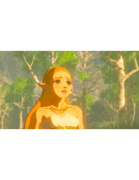ZELDA BREATH OF WILD SWITCH