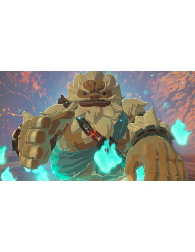 ZELDA BREATH OF WILD SWITCH