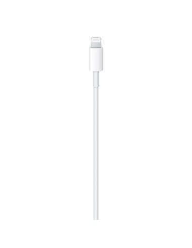 APPLE MUQ93ZM/A 1M LIGHTNING/USB-C CABLE