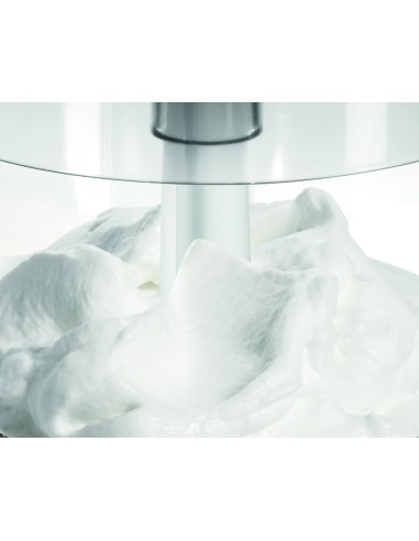 TRITATUTTO: vendita online BOSCH MMR08A1 TRITATUTTO + EMULSORE 400 WATT in offerta