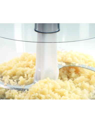 TRITATUTTO: vendita online BOSCH MMR08A1 TRITATUTTO + EMULSORE 400 WATT in offerta