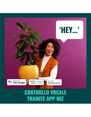 PHILIPS 372788 BIANCO X2 8W/60W E27 GOCCIA SMERIGLIATA DIMMER LAMP.CON