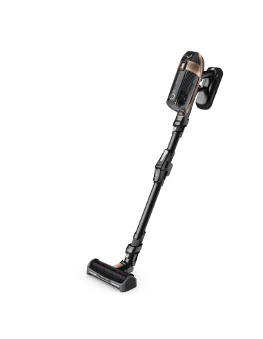 ROWENTA RH99F1 SCOPA ELETTR. ECO   INTELLIGENCE