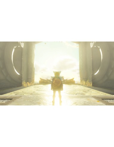 ZELDA THE TEARS OF THE KINGDOM"    SWITCH