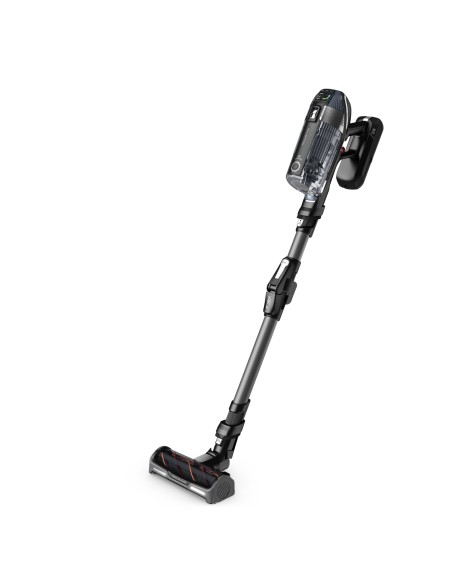 ROWENTA RH99A9 X-FORCE 14.60 AC    AUTO ANIMAL SCOPA RICARICABILE