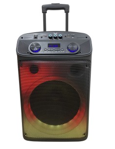 MAJESTIC FLAME T55 BK DIFFUSORE AMPLIFICATO BT 320W USB/AUX TROLLEY