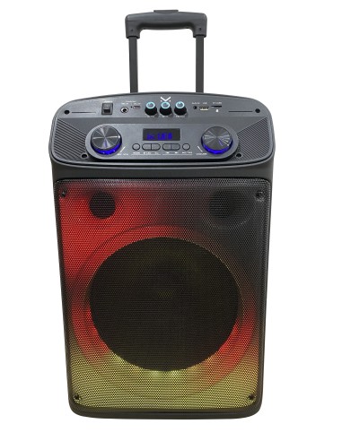 MAJESTIC FLAME T55 BK DIFFUSORE AMPLIFICATO BT 320W USB/AUX TROLLEY