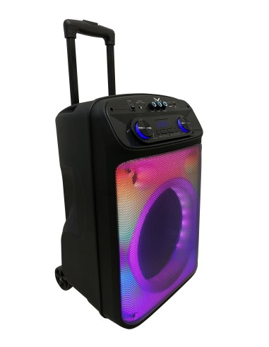 MAJESTIC FLAME T55 BK DIFFUSORE AMPLIFICATO BT 320W USB/AUX TROLLEY