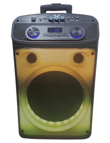 MAJESTIC FLAME T55 BK DIFFUSORE AMPLIFICATO BT 320W USB/AUX TROLLEY