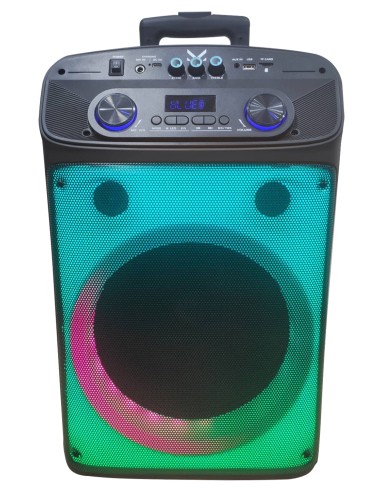 MAJESTIC FLAME T55 BK DIFFUSORE AMPLIFICATO BT 320W USB/AUX TROLLEY