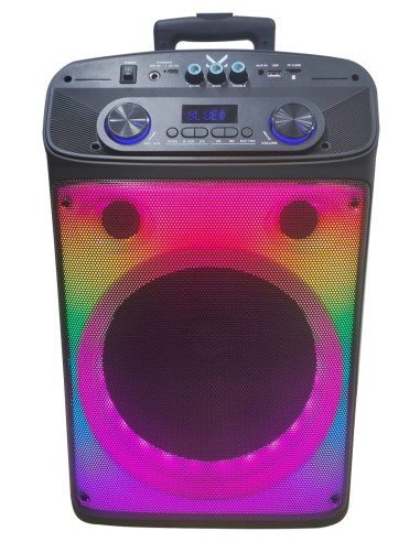 MAJESTIC FLAME T55 BK DIFFUSORE AMPLIFICATO BT 320W USB/AUX TROLLEY