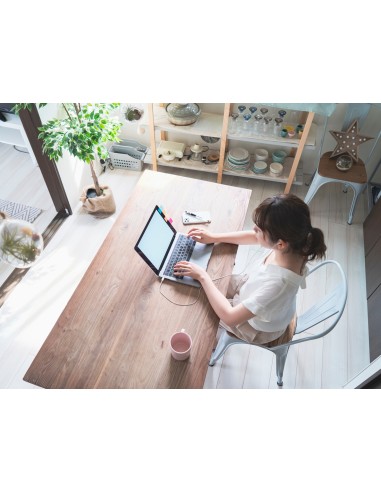 JVC HA-FR9UC BIANCO AURICOLARI USB-C CON MICROFONO CAVO 1,2M