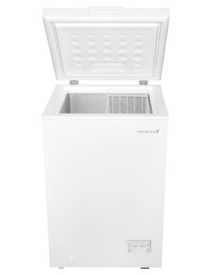 TECHLIFE TFCP100-1 CONG. ORIZZ. E  98LT H84,6 L54,5 P55 ELETTRONICO 2