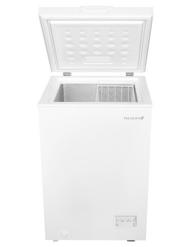 TECHLIFE TFCP100-1 CONG. ORIZZ. E  98LT H84,6 L54,5 P55 ELETTRONICO