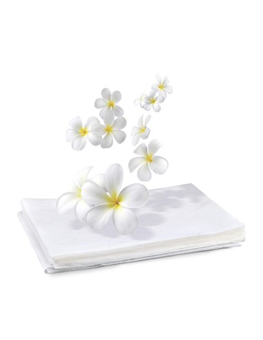 MELICONI PROFUMABUCATO GREEN 30 FOGLI PROFUMATI PER ASCIUGATRICE