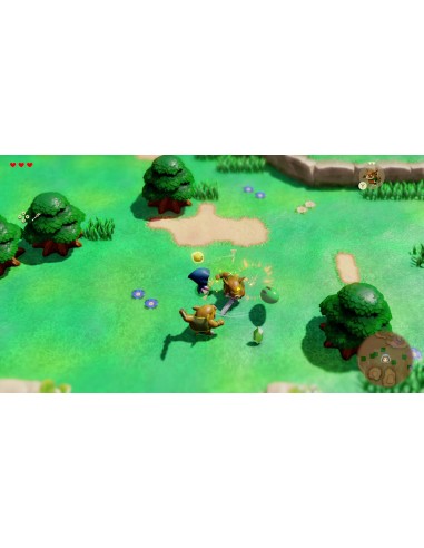 ZELDA ECHOES OF WISDOM SWITCH