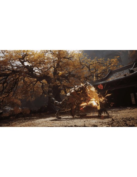 BLACK MYTH: WUKONG PS5