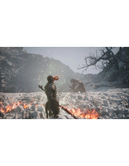BLACK MYTH: WUKONG PS5