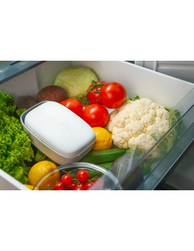 VITESY SHELFY PURIFICATORE SMART PER FRIGORIFERO