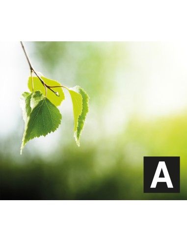 GLEM GAS SA664MWH6 CUCINA A 60X60  BIANCA 4F F.E. GRIGLIE PIATTINA