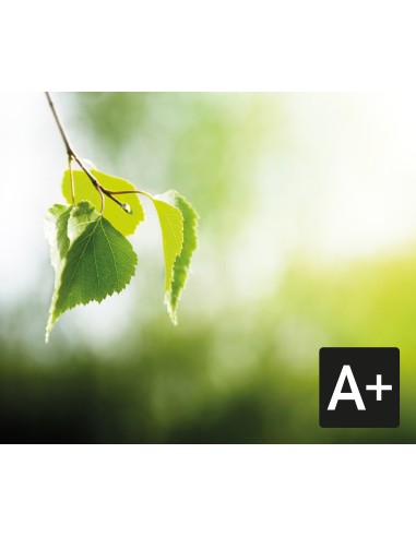 GLEM GAS ST664MBK CUCINA A 60X60 NERO OPACO 3F+1TC F.E. GRIGLIE GHISA