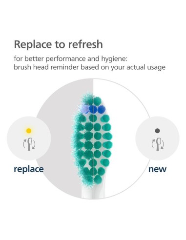 PHILIPS HX6012/87 2 TESTINE PRO    RESULTS