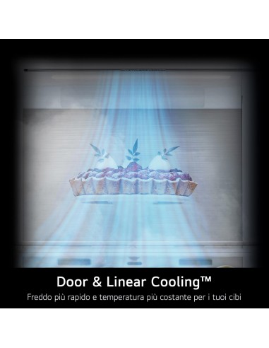 LG GBV22NCCPY COMB. C 387LT NF INV. PRIME SILVER DISPLAY INTERNO H203