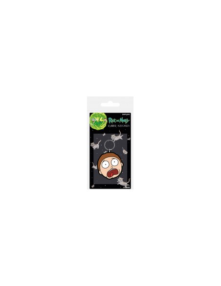 PYRAMID PORTACHIAVI RICK AND MORTY TERRYFIED