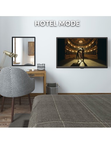 STRONG SRT24HE4023C 12V TVC 24" HD