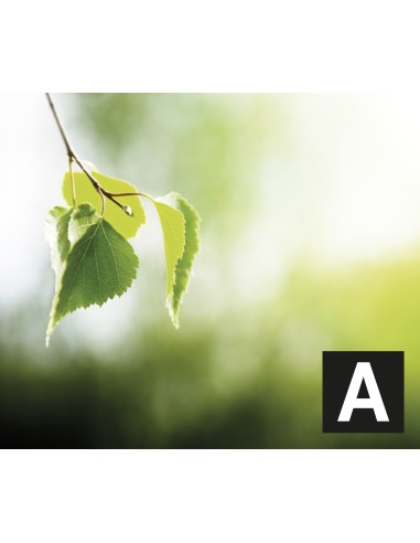 GLEM GAS GHN680IXA CAPPA A 60CM INOX PER PIANO INDUZIONE 1MOTORE 3VEL.