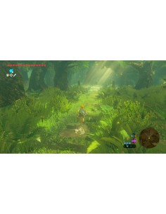 ZELDA BREATH WILD UP SWITCH 2 2
