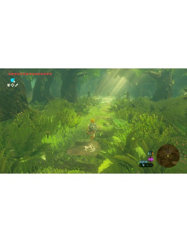 ZELDA BREATH WILD UP SWITCH 2