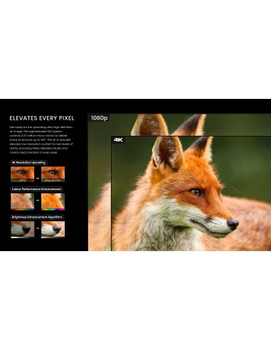 HISENSE LASER TV PL2 4K SMART