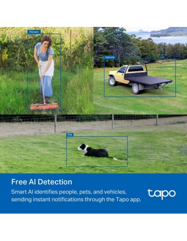 TPLINK TAPO TC40GW 4G IP CAM WIFI FULLHD ESTERNO IP65 VISIONE NOTTURNA