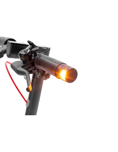 DUCATI MONOPATTINO 10" PRO 1 EVO   ADVANCED SAFETY